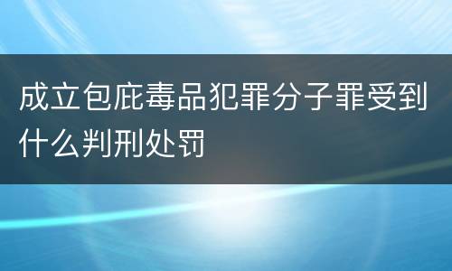 成立包庇毒品犯罪分子罪受到什么判刑处罚