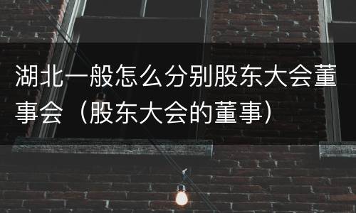 湖北一般怎么分别股东大会董事会（股东大会的董事）