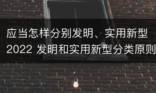 应当怎样分别发明、实用新型2022 发明和实用新型分类原则