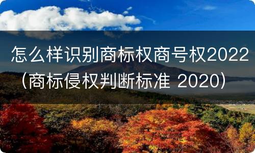 怎么样识别商标权商号权2022（商标侵权判断标准 2020）