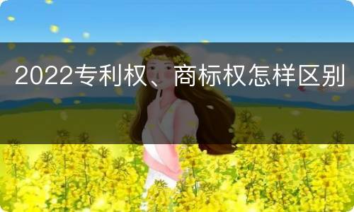 2022专利权、商标权怎样区别