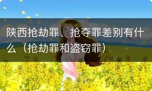 陕西抢劫罪、抢夺罪差别有什么（抢劫罪和盗窃罪）