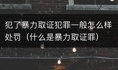 犯了暴力取证犯罪一般怎么样处罚（什么是暴力取证罪）