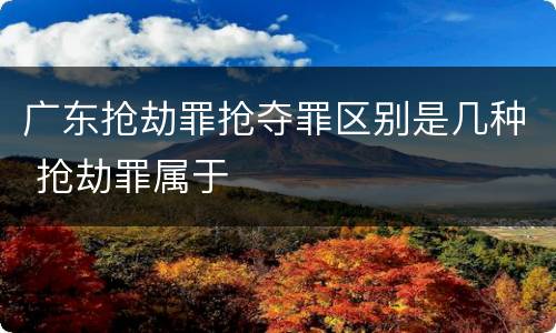 广东抢劫罪抢夺罪区别是几种 抢劫罪属于