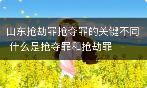 山东抢劫罪抢夺罪的关键不同 什么是抢夺罪和抢劫罪