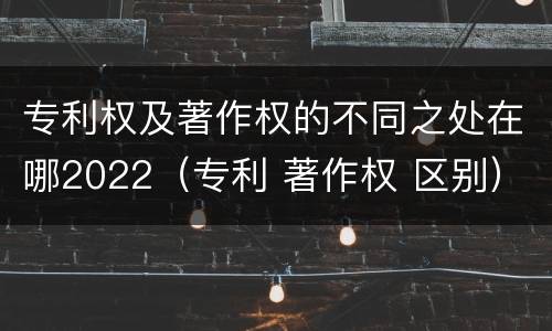 专利权及著作权的不同之处在哪2022（专利 著作权 区别）