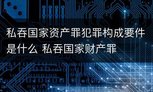 私吞国家资产罪犯罪构成要件是什么 私吞国家财产罪