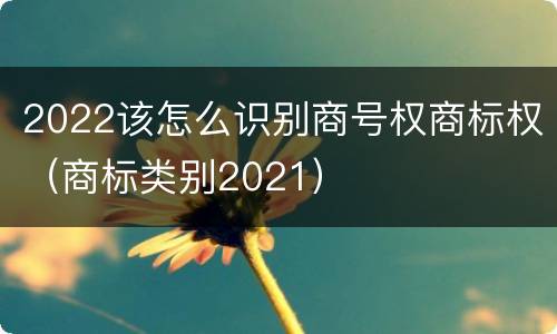 2022该怎么识别商号权商标权（商标类别2021）