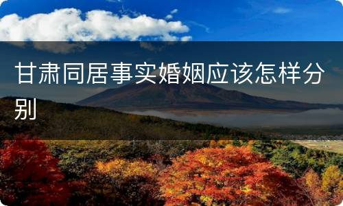 甘肃同居事实婚姻应该怎样分别