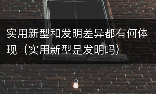实用新型和发明差异都有何体现（实用新型是发明吗）