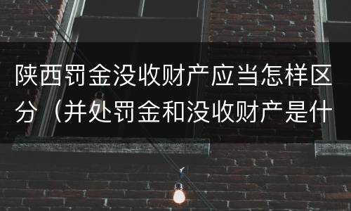 陕西罚金没收财产应当怎样区分（并处罚金和没收财产是什么意思）