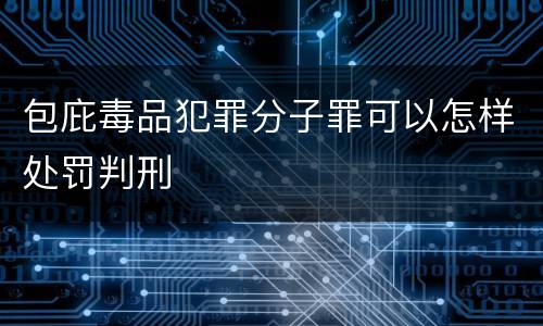包庇毒品犯罪分子罪可以怎样处罚判刑