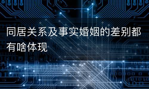 同居关系及事实婚姻的差别都有啥体现
