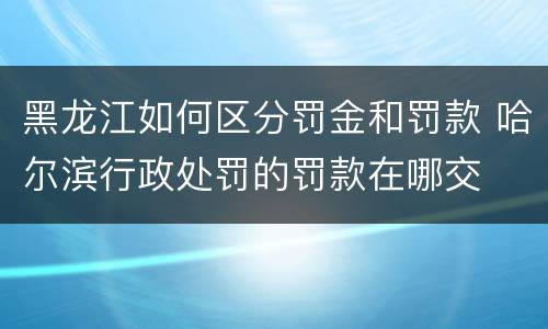 黑龙江如何区分罚金和罚款 哈尔滨行政处罚的罚款在哪交