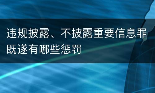 违规披露、不披露重要信息罪既遂有哪些惩罚