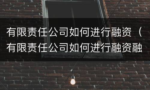 有限责任公司如何进行融资（有限责任公司如何进行融资融券）
