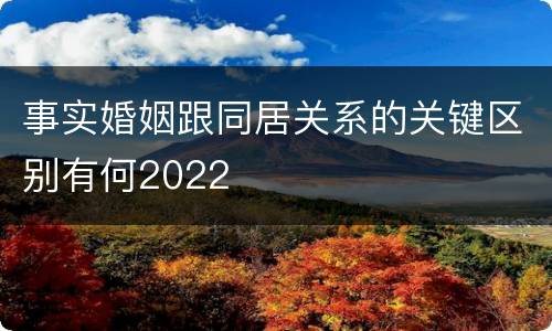 事实婚姻跟同居关系的关键区别有何2022