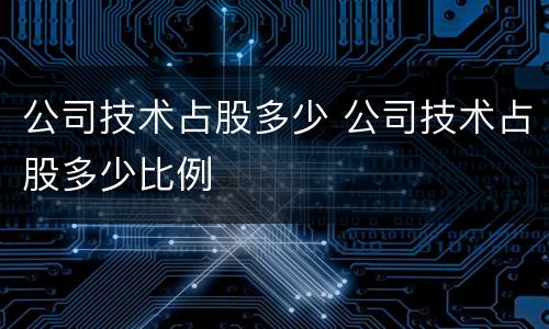 公司技术占股多少 公司技术占股多少比例