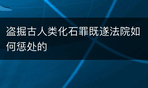 盗掘古人类化石罪既遂法院如何惩处的