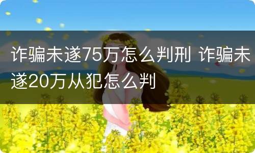 诈骗未遂75万怎么判刑 诈骗未遂20万从犯怎么判