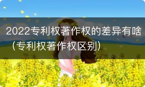 2022专利权著作权的差异有啥（专利权著作权区别）