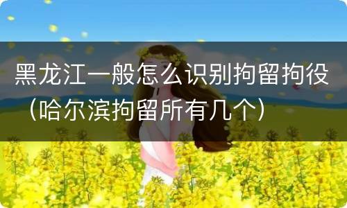 黑龙江一般怎么识别拘留拘役（哈尔滨拘留所有几个）