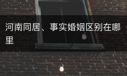 河南同居、事实婚姻区别在哪里
