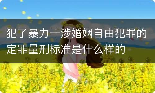 犯了暴力干涉婚姻自由犯罪的定罪量刑标准是什么样的