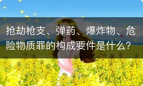 抢劫枪支、弹药、爆炸物、危险物质罪的构成要件是什么？