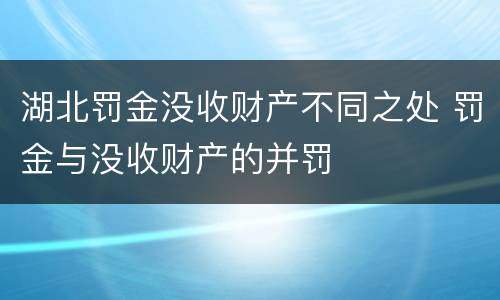 湖北罚金没收财产不同之处 罚金与没收财产的并罚
