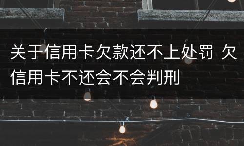 关于信用卡欠款还不上处罚 欠信用卡不还会不会判刑