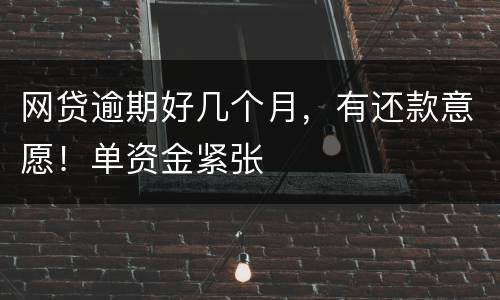 网贷逾期好几个月，有还款意愿！单资金紧张