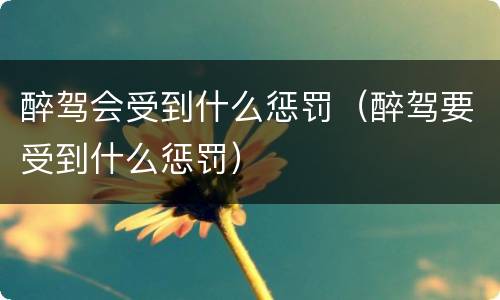 醉驾会受到什么惩罚（醉驾要受到什么惩罚）