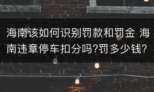海南该如何识别罚款和罚金 海南违章停车扣分吗?罚多少钱?