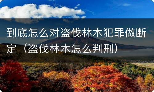 到底怎么对盗伐林木犯罪做断定（盗伐林木怎么判刑）