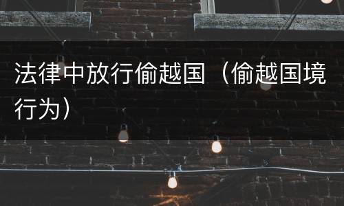 法律中放行偷越国（偷越国境行为）