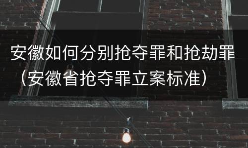 安徽如何分别抢夺罪和抢劫罪（安徽省抢夺罪立案标准）