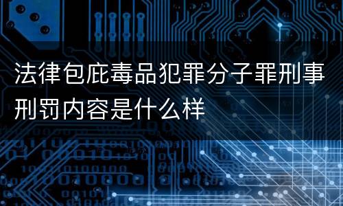 法律包庇毒品犯罪分子罪刑事刑罚内容是什么样
