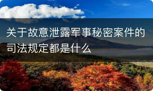 关于故意泄露军事秘密案件的司法规定都是什么