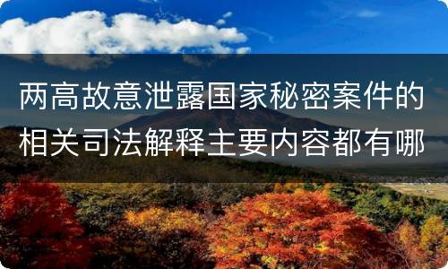两高故意泄露国家秘密案件的相关司法解释主要内容都有哪些