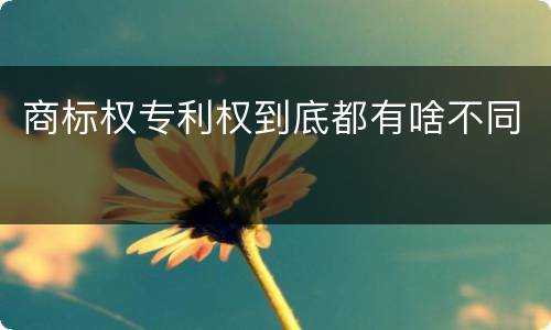 商标权专利权到底都有啥不同