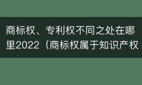 商标权、专利权不同之处在哪里2022（商标权属于知识产权么）