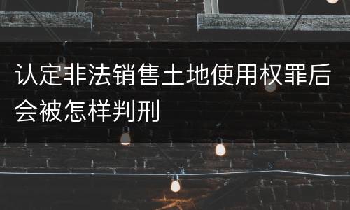 认定非法销售土地使用权罪后会被怎样判刑