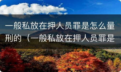 一般私放在押人员罪是怎么量刑的（一般私放在押人员罪是怎么量刑的标准）