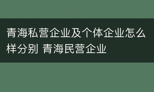 青海私营企业及个体企业怎么样分别 青海民营企业