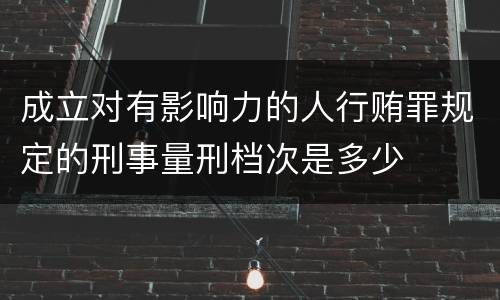 成立对有影响力的人行贿罪规定的刑事量刑档次是多少