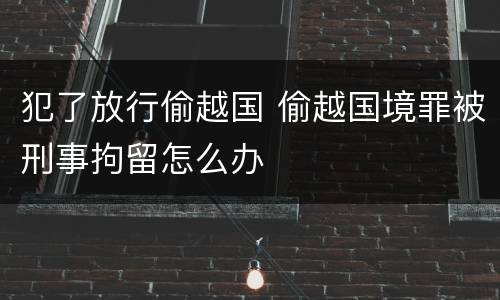 犯了放行偷越国 偷越国境罪被刑事拘留怎么办