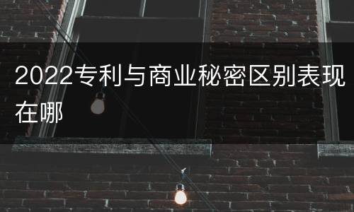 2022专利与商业秘密区别表现在哪