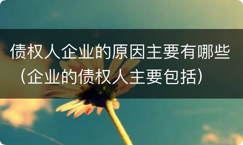 债权人企业的原因主要有哪些（企业的债权人主要包括）