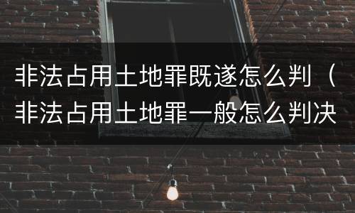 非法占用土地罪既遂怎么判（非法占用土地罪一般怎么判决）